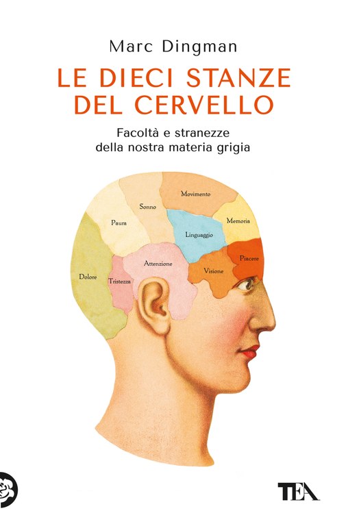 Le dieci stanze del cervello